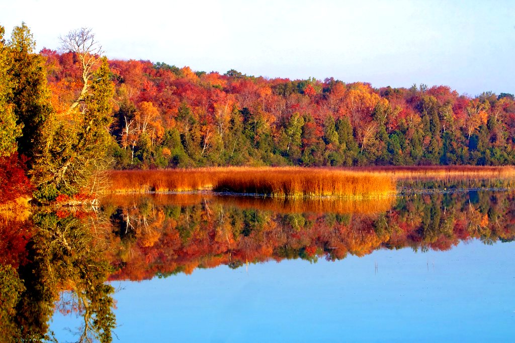 294477468328534722test[1].jpg.jpg